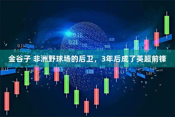 金谷子 非洲野球场的后卫，3年后成了英超前锋