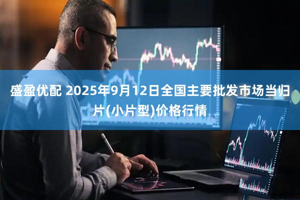 盛盈优配 2025年9月12日全国主要批发市场当归片(小片型)价格行情