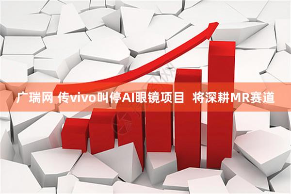 广瑞网 传vivo叫停AI眼镜项目  将深耕MR赛道