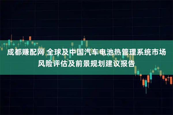 成都赚配网 全球及中国汽车电池热管理系统市场风险评估及前景规划建议报告